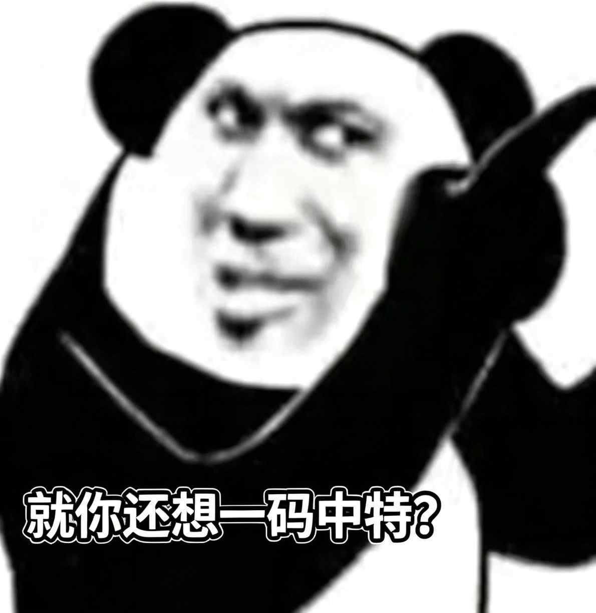 就你还想一码中特